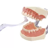 Зубна щітка VITIS IMPLANT ANGULAR для імплантів, коронок та мостів